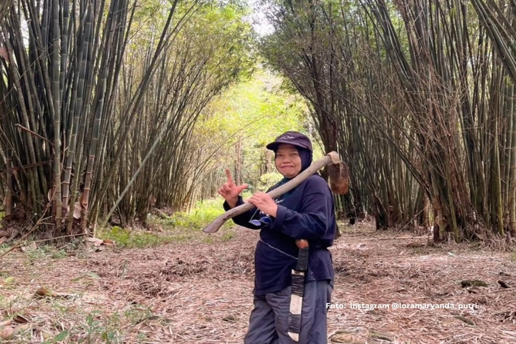 28 Tahun Menanam, Umi Lora Sulap Lahan Rusak Jadi Hutan Bambu yang Alirkan Mata Air